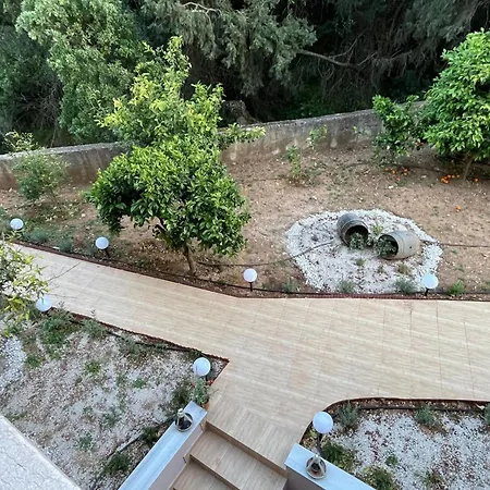 Zebrano In Kallithea Rhodes